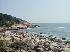 -广东惠东海龟国家级自然保护区