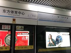 -东方体育中心(地铁站)