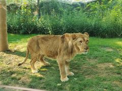 -北京野生动物园