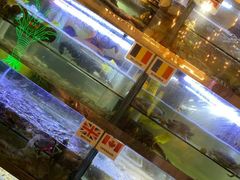 水产区-桥东喜碧海鲜街(水东街店)