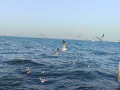 -大连海昌东方水城