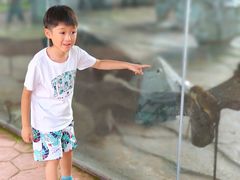 -南京汤山紫清湖生态旅游温泉度假区