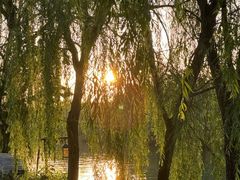 -西安汉城湖景区