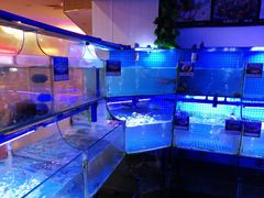 -东郊椰林平价海鲜舫(大东海店)