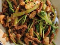 香菜炒牛肉丝-新新湘菜馆(新中街二条店)