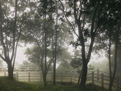 -广州市帽峰山景区