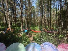 -帽儿山国家森林公园