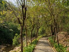 -广州白江湖森林公园