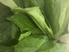 -草原传奇鲜羊火锅(桥北店)
