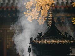 -大觉寺-停车场