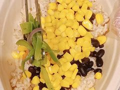 -油梨树AVOCADO TREE(望京店)