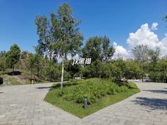 -群力丁香公园