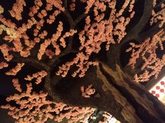 -蓝鲸湾汤泉(包河店)