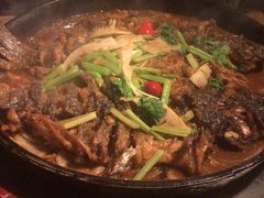 -老板恋上鱼(恒隆广场店)