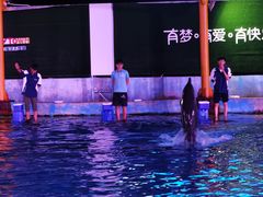 -三亚海昌梦幻海洋不夜城