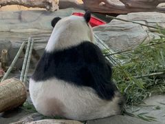 -泉州海丝野生动物世界