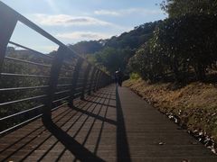 -牛岗山公园