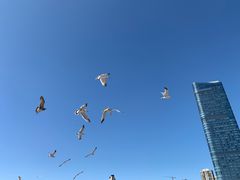 -星海广场