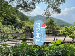 -深圳仙湖植物园