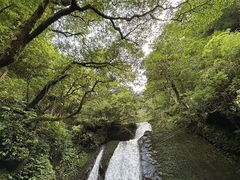 -瓦屋山景区