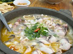 -大鼎石锅鱼(春江里店)