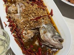 -杨氏青龙虾·羊蝎子(金盛路总店)