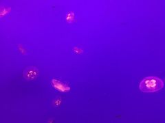 -常州海昌海洋探索馆