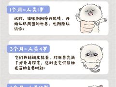 -爱侣宠医·鹦鹉专科·小型哺乳类·异宠专科(灵石路店)