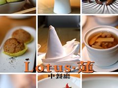 -莲·中餐厅(成都首座万豪酒店)