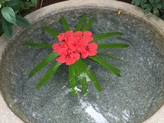 -三亚珠江南田温泉度假区