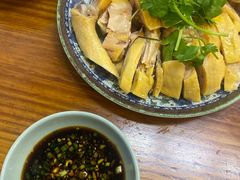 -九斤黄三黄鸡专卖店