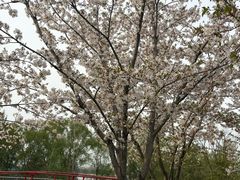 -幕燕滨江·燕子矶公园