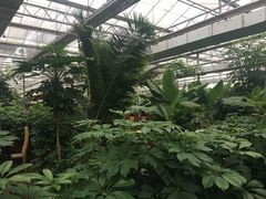 -汤山翠谷生态餐厅