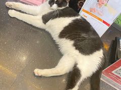 -铸信羽毛球俱乐部