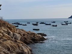 -海源公园