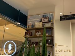 -海马体照相馆(烟台大悦城店)