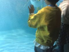 -大连圣亚海洋世界