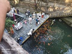 -海南槟榔谷黎苗文化旅游区