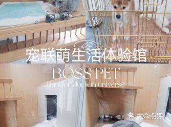 宠联萌生活体验馆BOSS PET  地址：贵州省