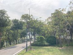 -广东花都湖国家湿地公园