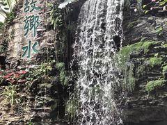-白天鹅宾馆-宏图府餐厅