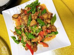 -煲来饱去冷水鱼