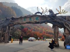-龙道沟景区