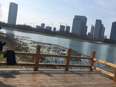 -尚贤河湿地