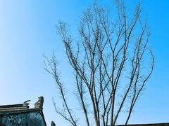 -青果巷历史文化街区