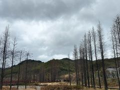 -广州市石门国家森林公园