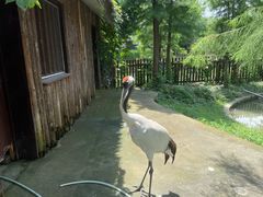-苏州上方山国家森林公园