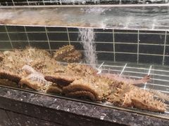 -浩运海鲜·16年专注青岛菜(石老人店)