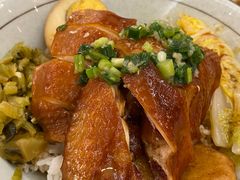 -狮头牌卤味研究所·卤味饭(花城汇南区店)