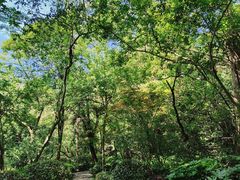 -杭州半山国家森林公园